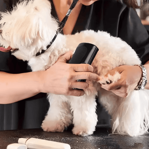 GroomClean - Ingen mer päls i hemmet